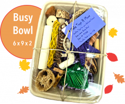 Busy Beaks Bowl! Play Tray- Maka Toys